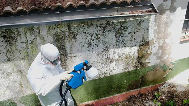 Trusted Commercial Mold Remediation service in Morris Plains, NJ - Cheap Mold Removal